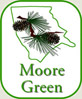 Moore Green Council